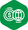 Globe with dollar sign icon